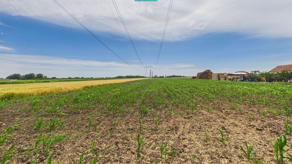Teren extravilan 5000 mp, Arad - Poză 12