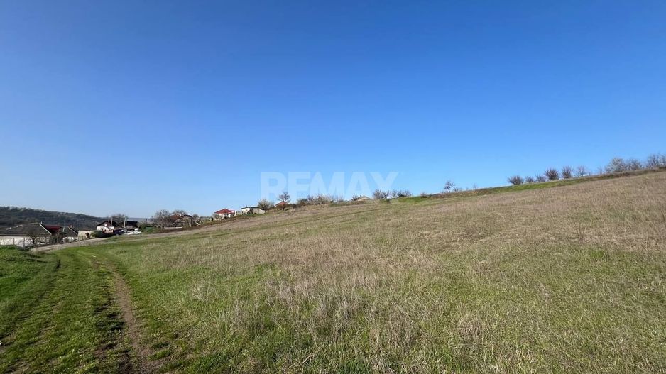 Teren pentru grădină / investiție – 14,86 ari în Ghidighici, zonă liniștită și ecologică - Poză 3