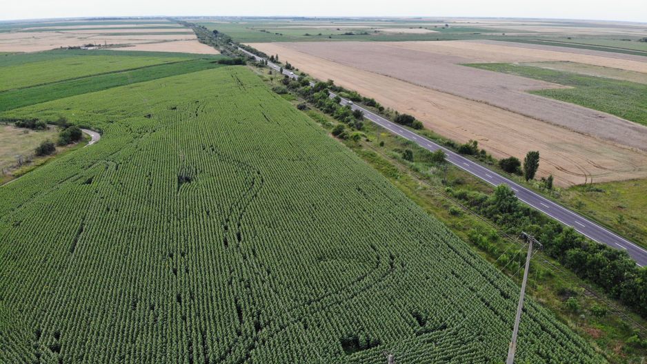 Vand Teren Extravilan Becicherecu Mic(zona industriala) 18.000mp,Utilitati - Poză 4