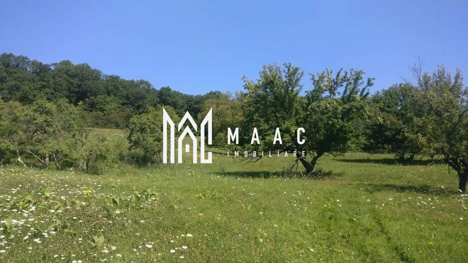 Teren 2.800 mp I Cisnadie - Poză 4