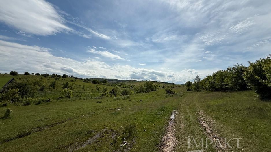 Teren de vânzare în Salistea Noua! - Poză 2