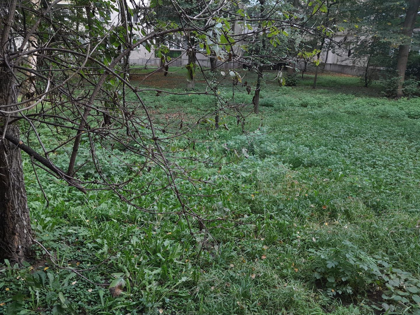 Apartament 4 camere, 2 bai, 2 balcoane, Plopilor Vechi - Poză 10