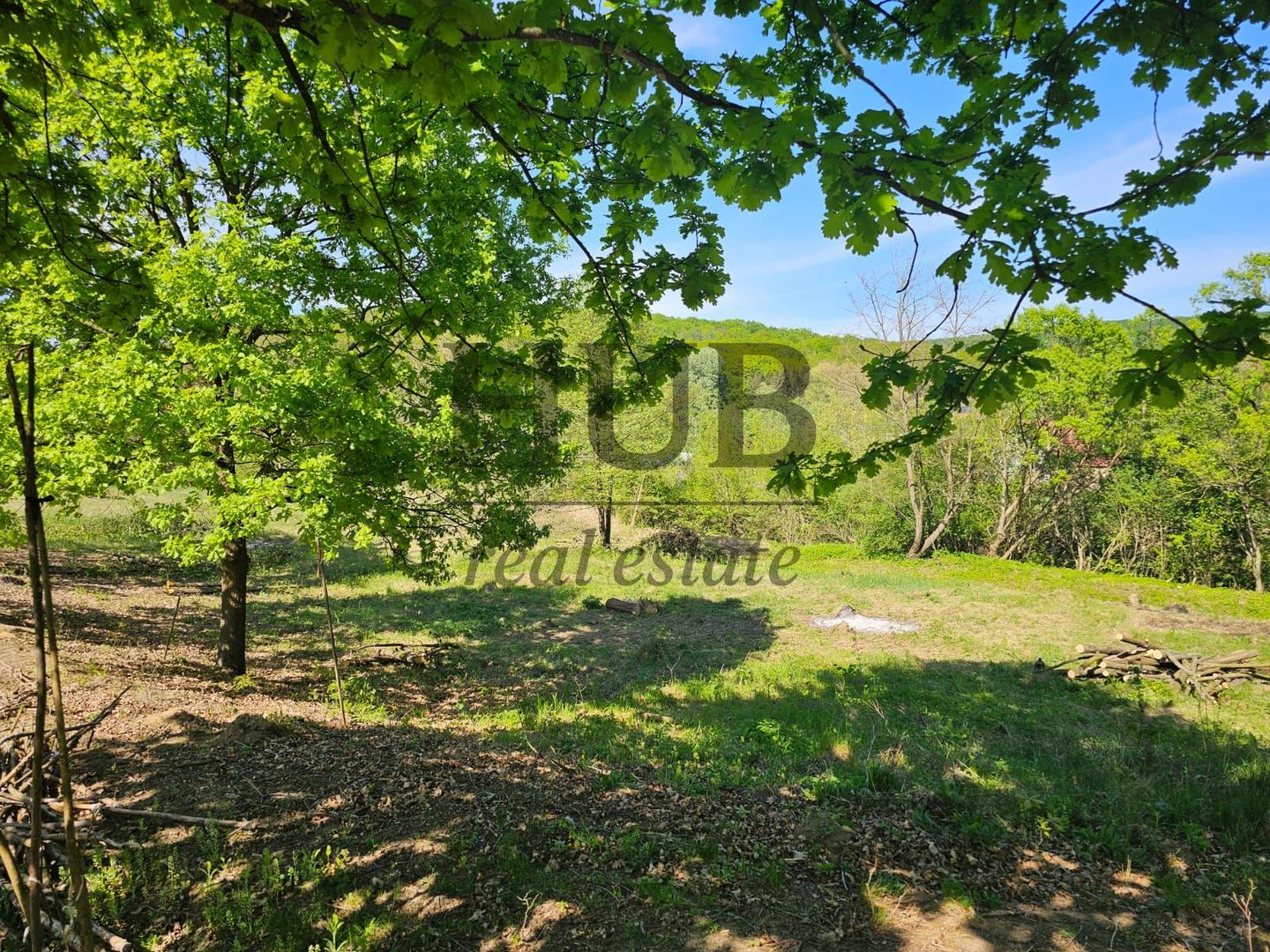 Teren intravilan | langa padure si parau | Luncani/Bacau - Poză 1