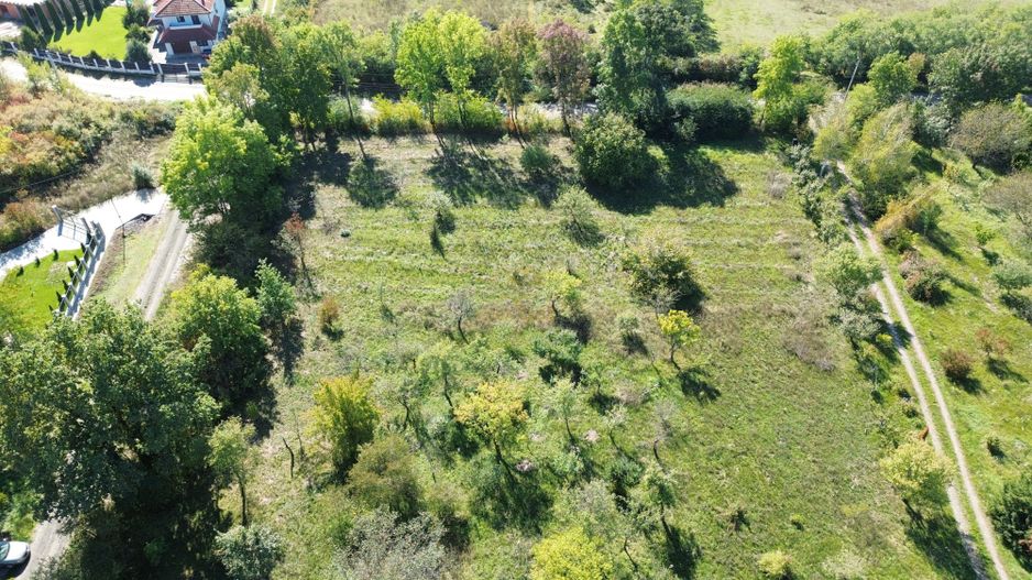 De vanzare Teren Intravilan Viile Satu Mare 2812MP/Dublu Front Stradal - Poză 3