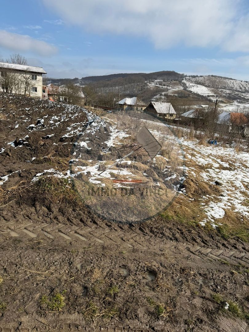 Teren Intravilan,Sanmartin CJ - Poză 3