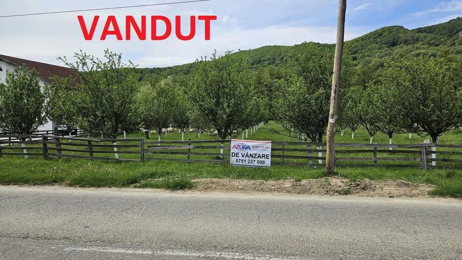 Vanzare teren zona munte, Corbi - Poză 1