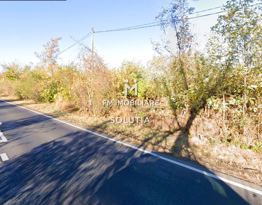 Teren intravilan – Crevedia – 62 de parcele – Acces din DN1A - Poză 8