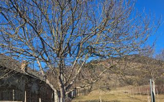 teren intravilan  Vurpar, VIntul de jos - Poză 1