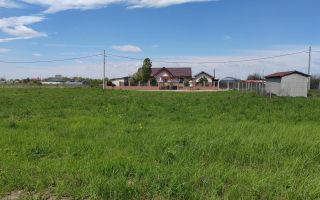 🌿 Teren de vânzare – Răcari, Str. Mestecenilor - Intrarea cu Tei - Poză 3
