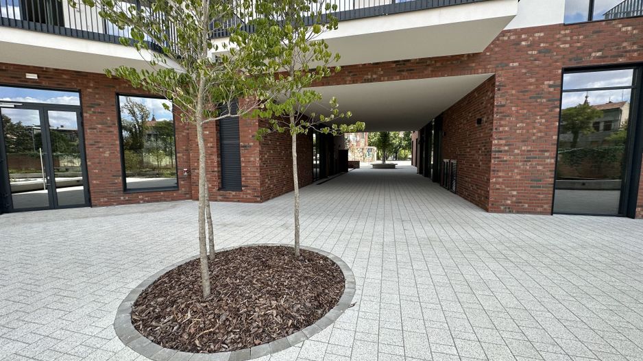 Apartament 2 camere -Paltim - Poză 24