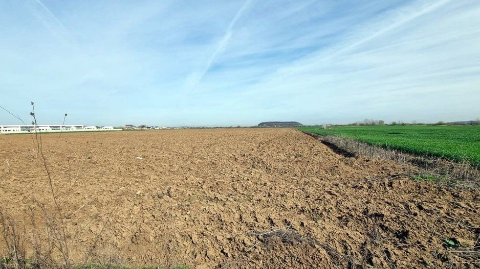 „Corbeanca – aer curat, potențial mare, preț competitiv. 4 loturi - Poză 5