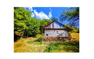 CASA TRADITIONALA, ANEXE si 46.980 mp teren partial INTRAVILAN - Poză 3