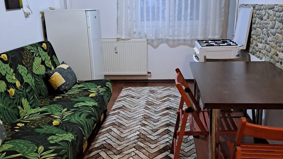 Apartament Versatil, Proaspăt Zugrăvit– Bd.Corneliu Coposu 1, Birou sau Locuinta - Poză 4