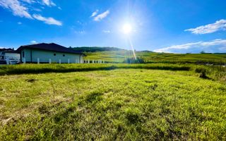 Teren intravilan, Viisoara, 7.57 ari - Poză 2