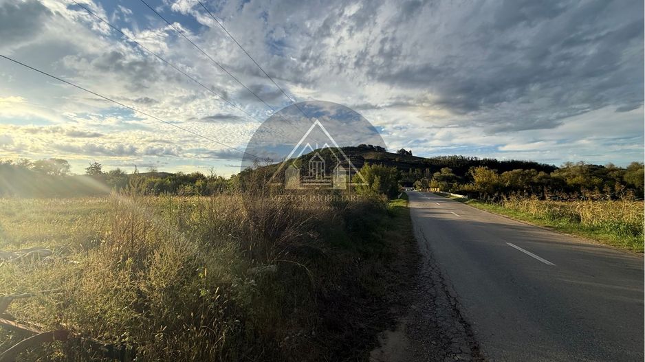 Teren extravilan Alma - Poză 5