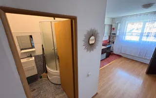 Garsonieră compartimentată pe 2 niveluri in zona Terezian - Poză 21