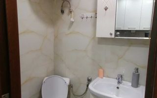 Garsoniera de inchiriat Pacurari - Poză 5