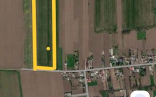 Teren intravilan 14.000 mp în Harmanestii Noi, la 6 km de Pașcani - Poză 1