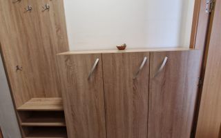 apartament luminos 2 camere-Sagului - Poză 5