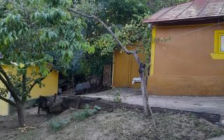 Gospodărie țărănească de vânzare cu 2 case și teren 6.700 mp, Cozia, jud. Iași - Poză 5