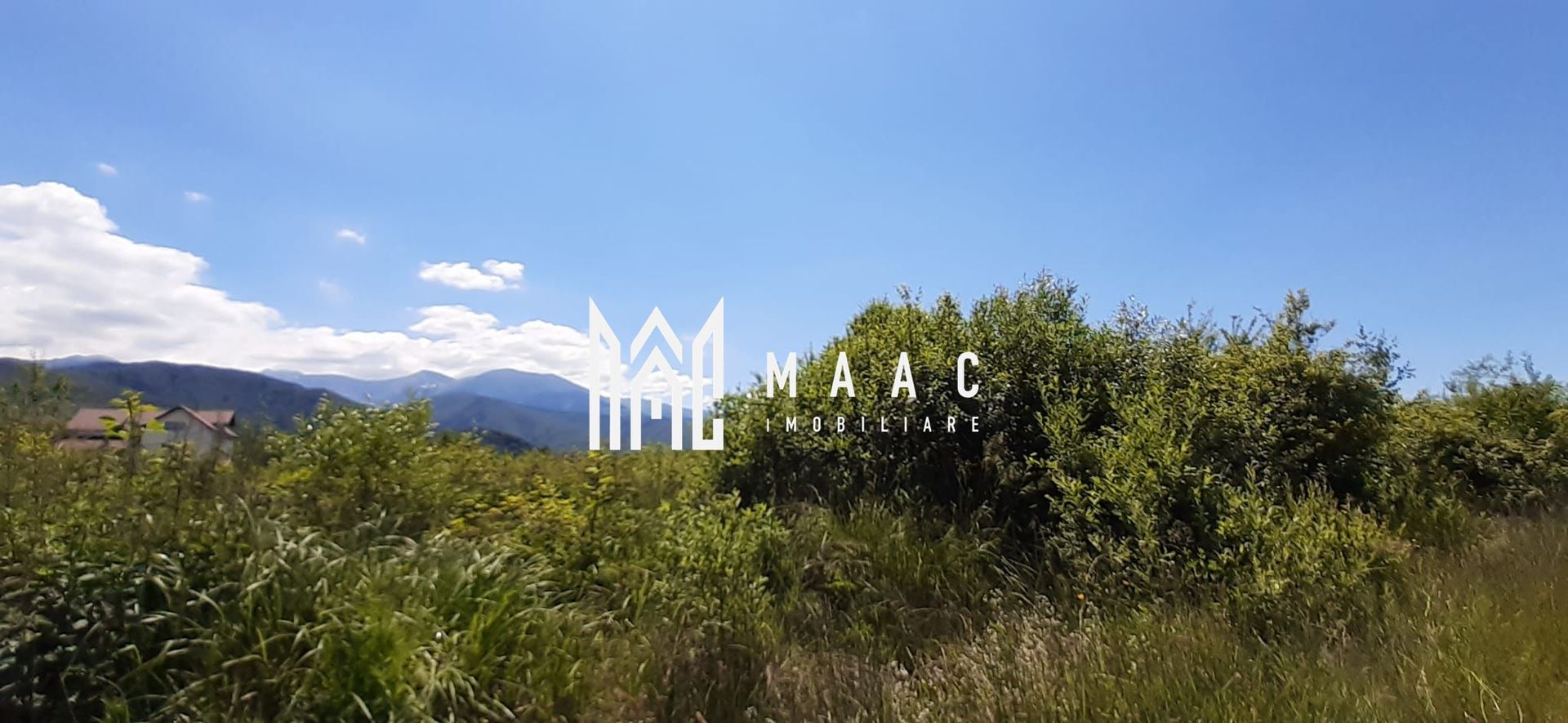 Teren Valea Avrigului | Investitie | 13000 MP - Poză 1