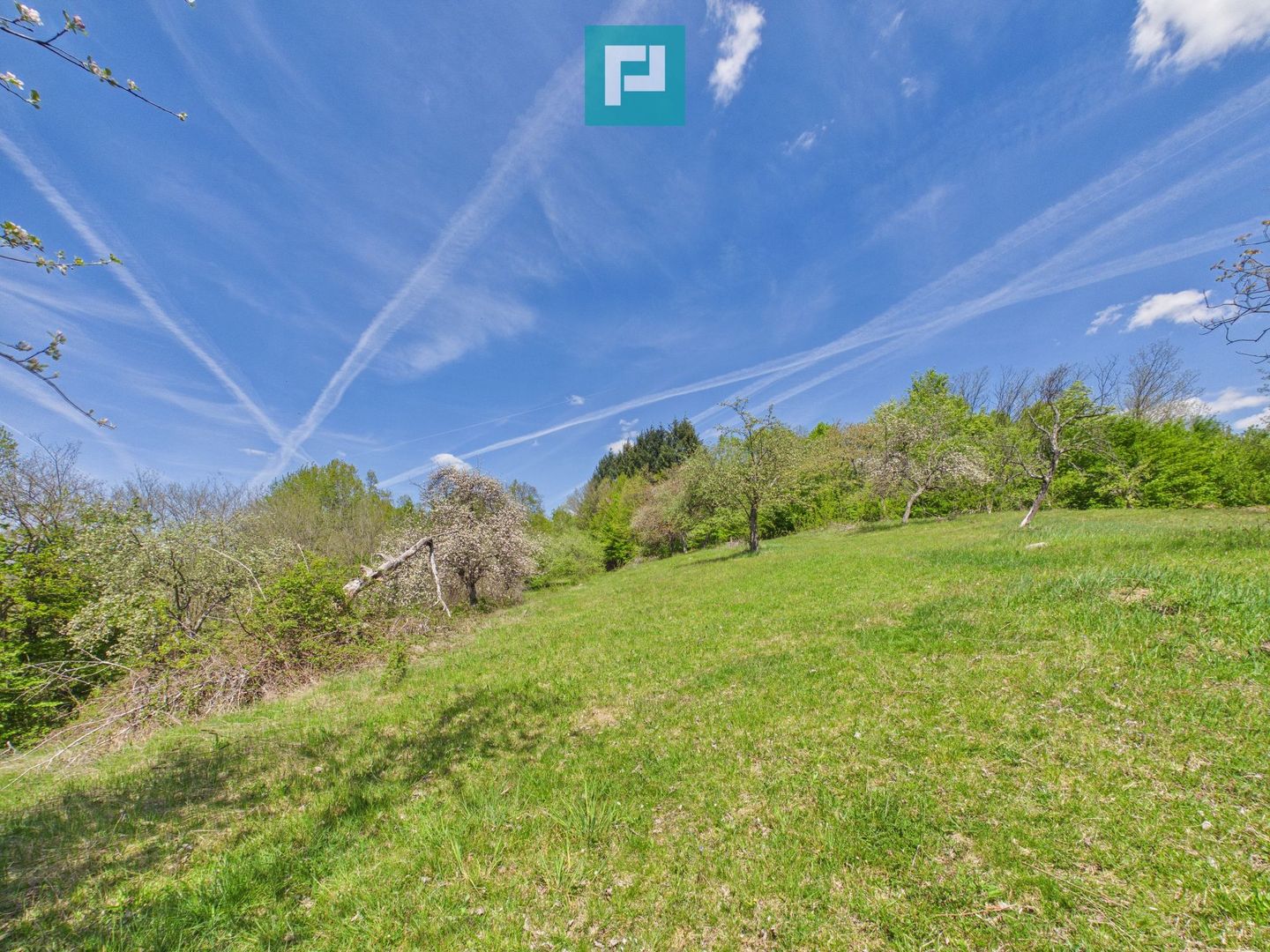 Proprietate rară cu 24.270 mp, în Măgulicea, Arad! - Poză 46