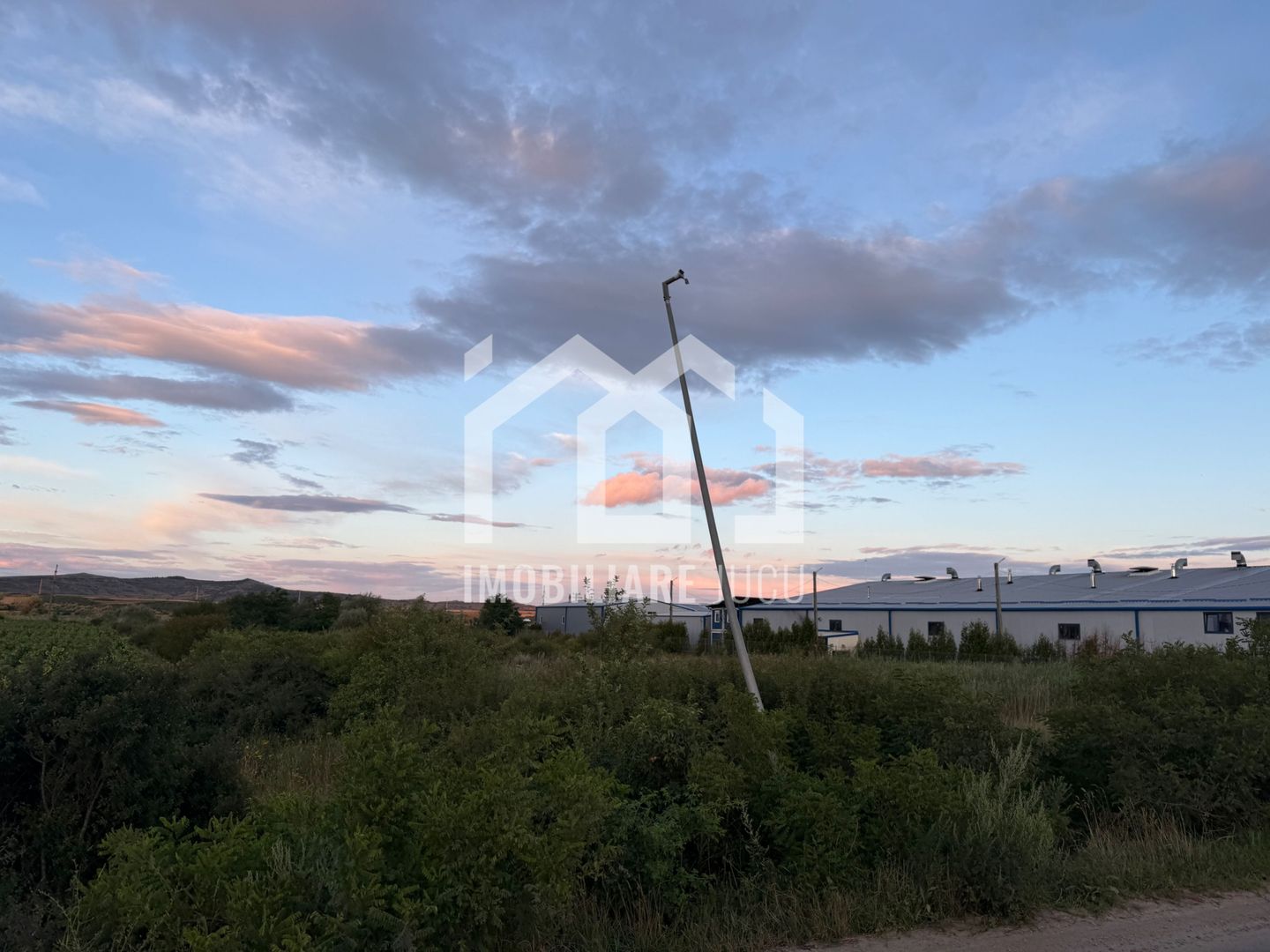 Teren – 7.194 mp | Răscruci – Zona Tetarom - Poză 4