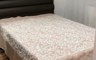 Apartament 2 camere open- space P. Nicolina 350 euro - Poză 1