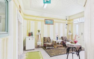 Casă cu teren 4065mp în Dorobanți, județul Arad - Poză 13