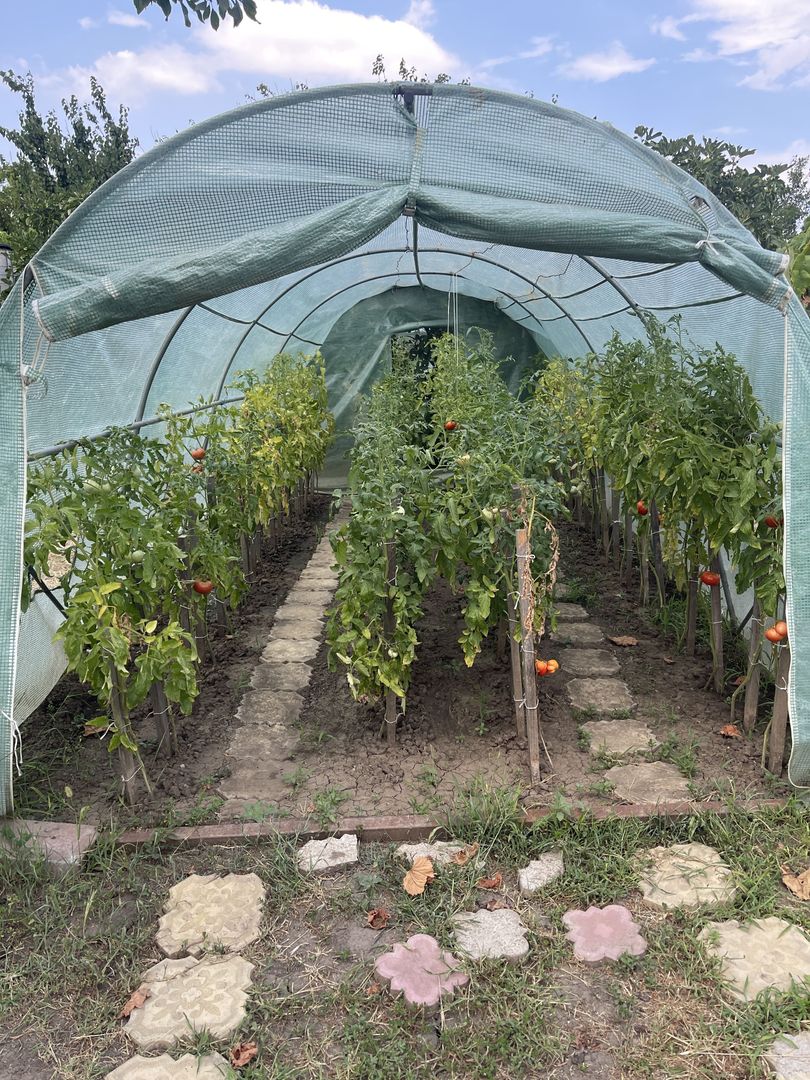 Casa | 9 camere | Garaj | Piscina | Teren 3.000 mp | Comision 0% - Poză 43