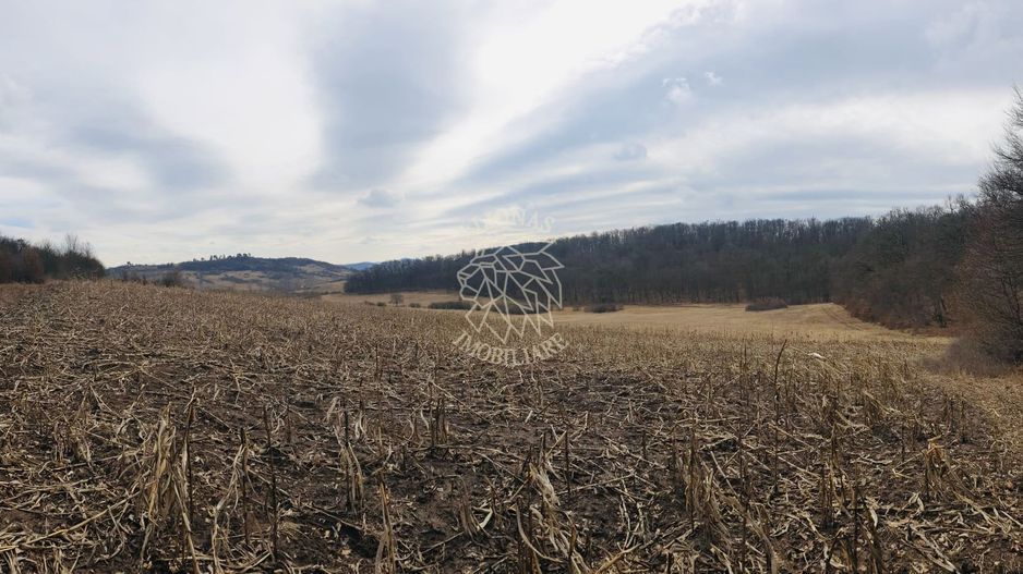 Teren 104,731 mp-Parcelabil-Vedere panoramica-Valea Castailor - Poză 4