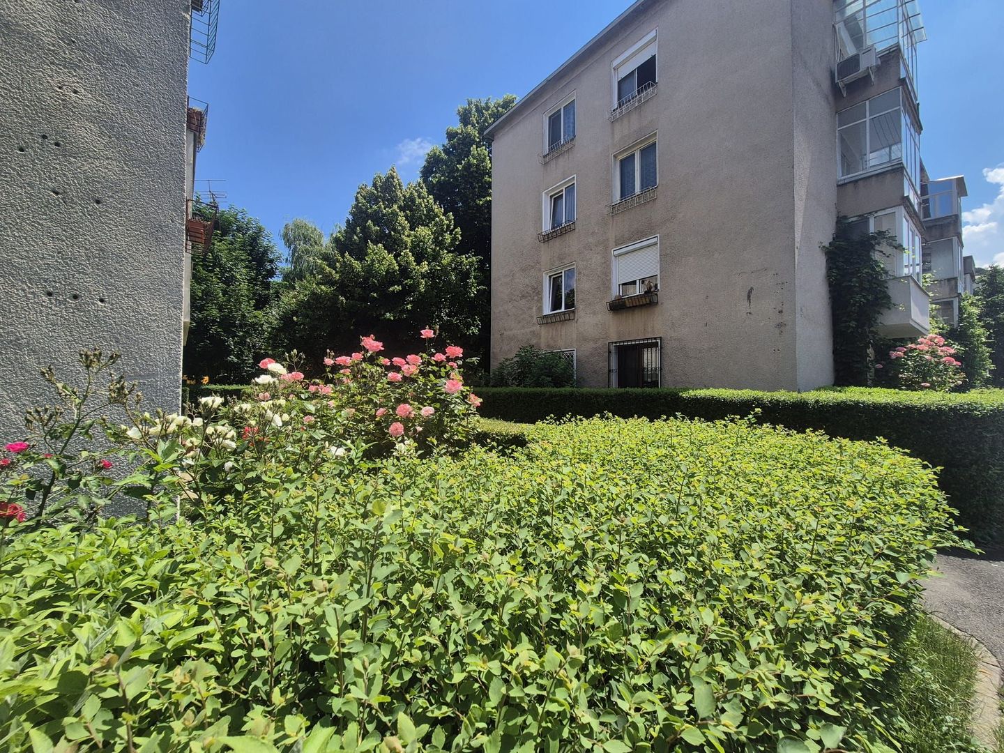Centru Civic, apartament pet friendly - Poză 2