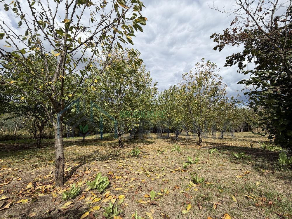 Teren 3200 mp în Osoi, comuna Comarna, cu deschidere de 36 ml la DN28 - Poză 2