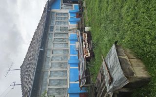Casă bătrânească de vânzare în Costuleni – 4 camere, beci, fântână, teren 2700 mp - Poză 4
