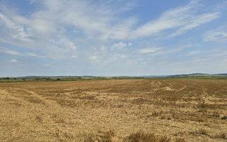 Teren intravilan– 50.000 mp, Bacău, Șoseaua Hol - Poză 2