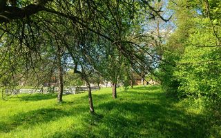 Descoperă căsuța ta de vis la poalele Munților Apuseni - Poză 22