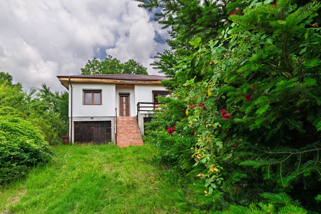 Casa moderna si casa bunicii + 6300 mp teren,Oaza autentica in Corbi Arges- - Poză 3