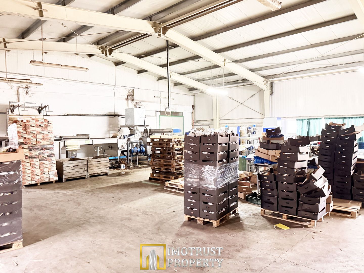 Hala industrială de vanzare Arad 540 mp, depozitare la rece, acces TIR - Poză 6