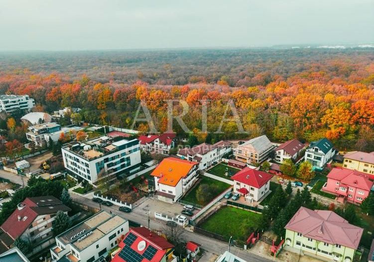 Vila si teren aferent de vanzare in Voluntari Pipera liziera pădurii- 1775 mp - Poză 4