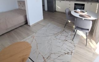 Ap tip studio de inchiriat, bloc nou, Aradului Iris - Poză 15