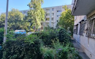 Timisoara Profii - Poză 2