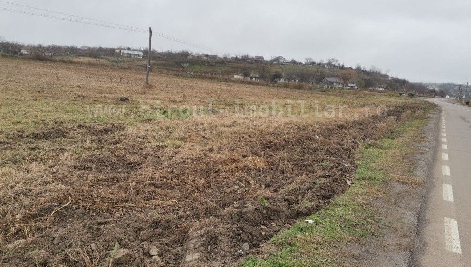 0% Comision -Teren Intravilan – 17.000 mp , Tulcea - Pret Redus! - Poză 3