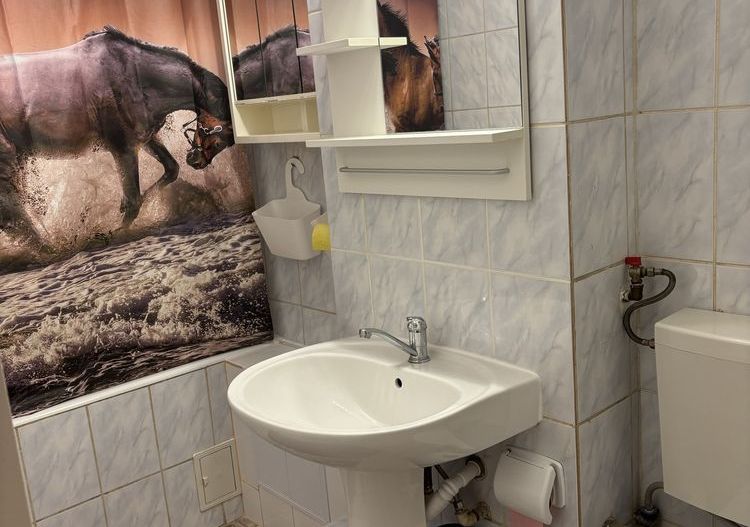 2 camere decomandate, renovat, 2 min metrou 1 Decembrie, Pet friendly - Poză 7