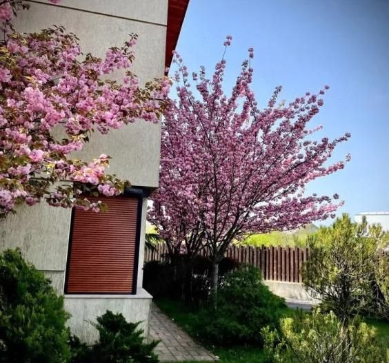 Vila Premium de Vanzare 241 mp I Sisesti - Poză 10
