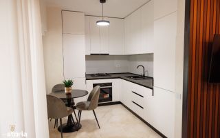 APARTAMENT 1 CAMERA SITUAT IN COPOU - Poză 8