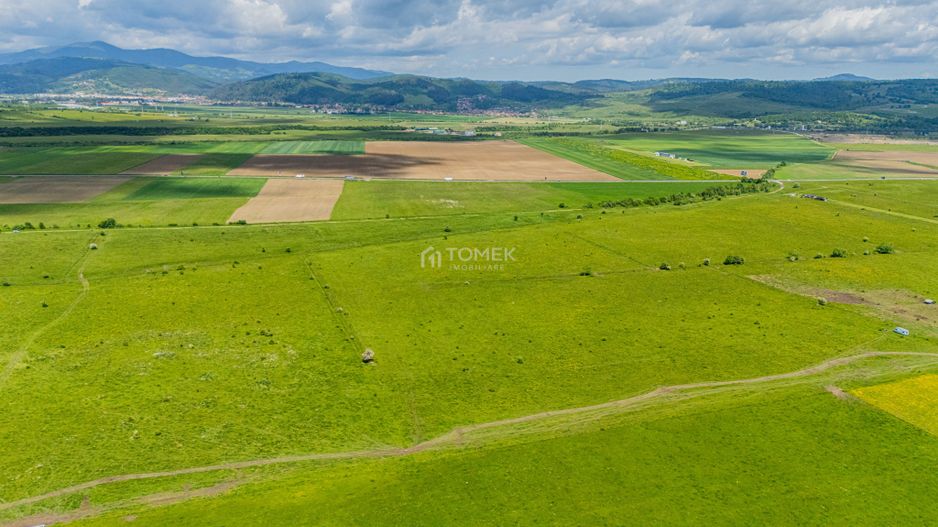 Teren de investiție în zona Tohanul Nou - Bran  5.800 mp - Poză 12