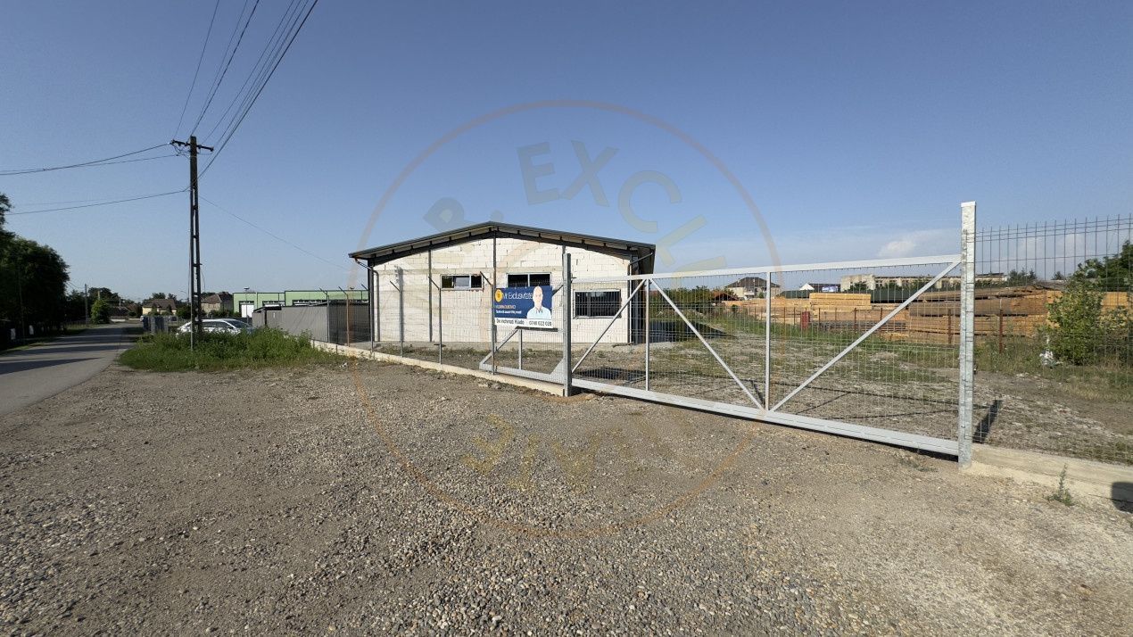 Inchiriere Hală Producție/Depozitare 300 mp, Teren 1791 mp - Carei - Poză 10