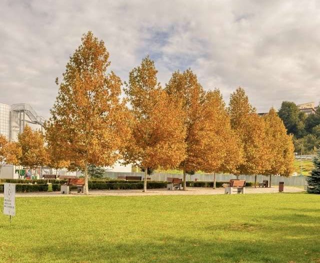 PF vand apartament 3 camere 70mp in curte la Vivo nu se plateste tva - Poză 3