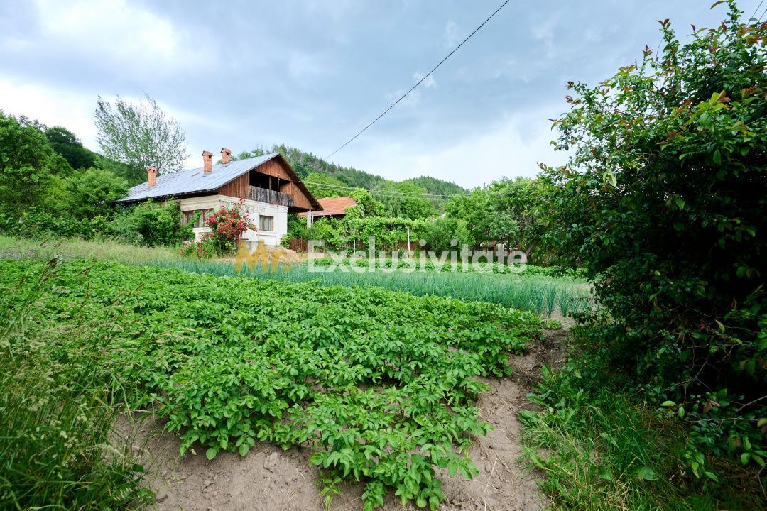 Casa cu teren generos - 4696 mp Apa Sarata - Campulung !! - Poză 5