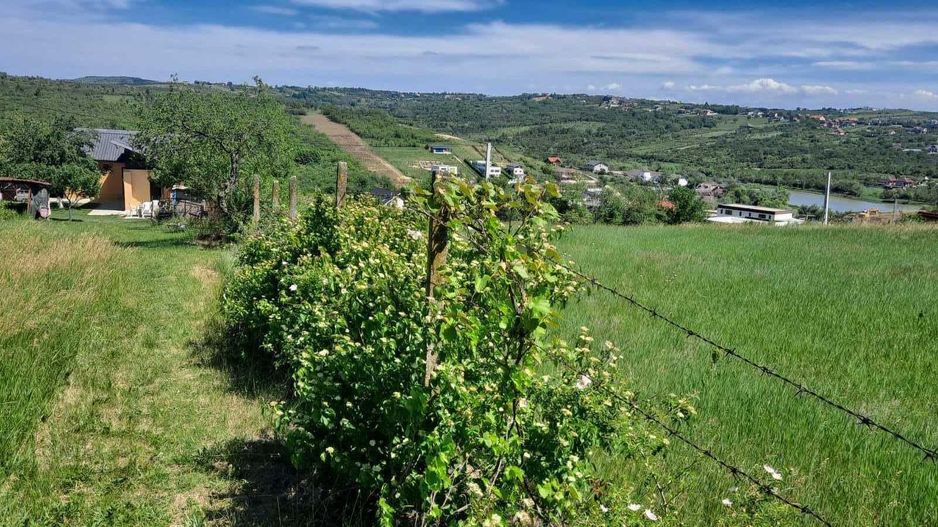 Casa Zona Doja langa Hanul Pescarilor 1500 mp teren - Poză 2